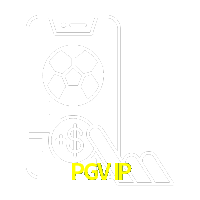  PGVIP
