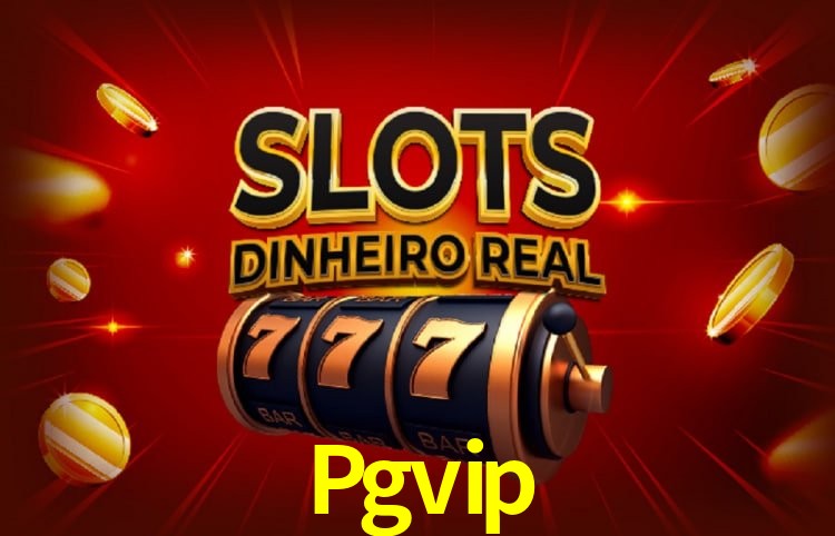 Pgvip Salvador - Support